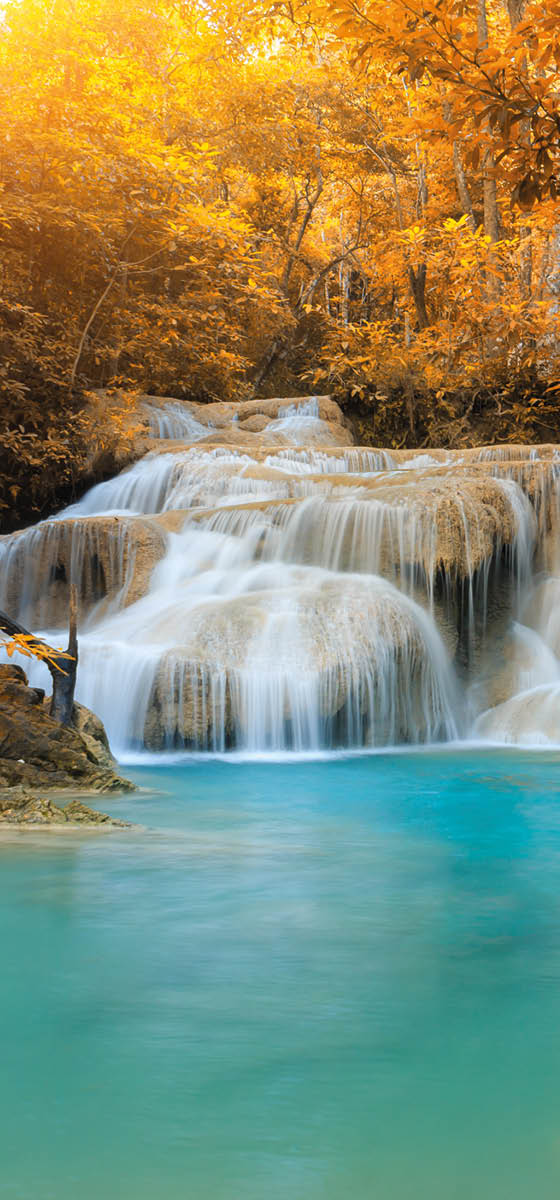 Immagine di una cascata in mezzo al bosco